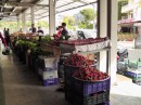 Open air produce market - you bet we bought some of those strawberries you see in the forefront. Climate very similar to California -strawberries, apricots, peaches, nectarines -mmmm.