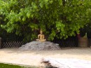 Some Buddhas just want to be alone.