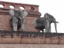 Wat Chedi Luang:  Temple used to have elephant statues surrounding base but only a few remain.