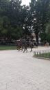 Feeling safe with mounted police in park.