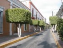 35 old town Mazatlan residential street