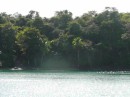 another beautiful area of Boca Chica estuary