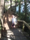 Rianjo pine forest walk