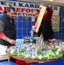 Hamsi (anchovy) harvest