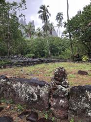 Nuka Hiva ceremonial grounds