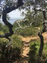 Santa Cruz Island: Hiking trail on the Nature Conservancy Land