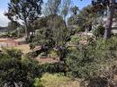 The beautiful gardens of Santa Cruz
