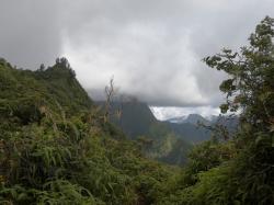 Mount Aorai from the Belvedere trail.: 6,778 feet high. Second highest in Tahiti.