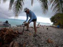Tahanea: shucking coconuts