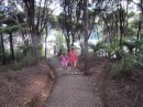 Great Barrier Island - Hike to Mt Hobson