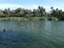 our crusing friends swiming in Ignacio Springs Lagoon