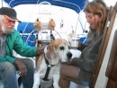 65 pound Beagle Lived his entire life on a boat wins Donnas heart.