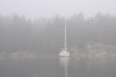 Foggy morning at Mary Ann Cove