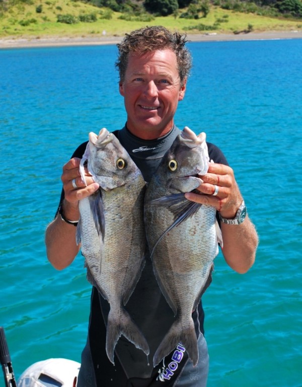 spearfishing catch of the day