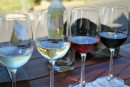 Wine tasting on Coramandel Coast