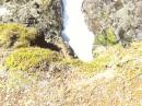 Long way down.: Hike to the Cape Reinga Lighthouse.  This area is sacred Maori ground.
