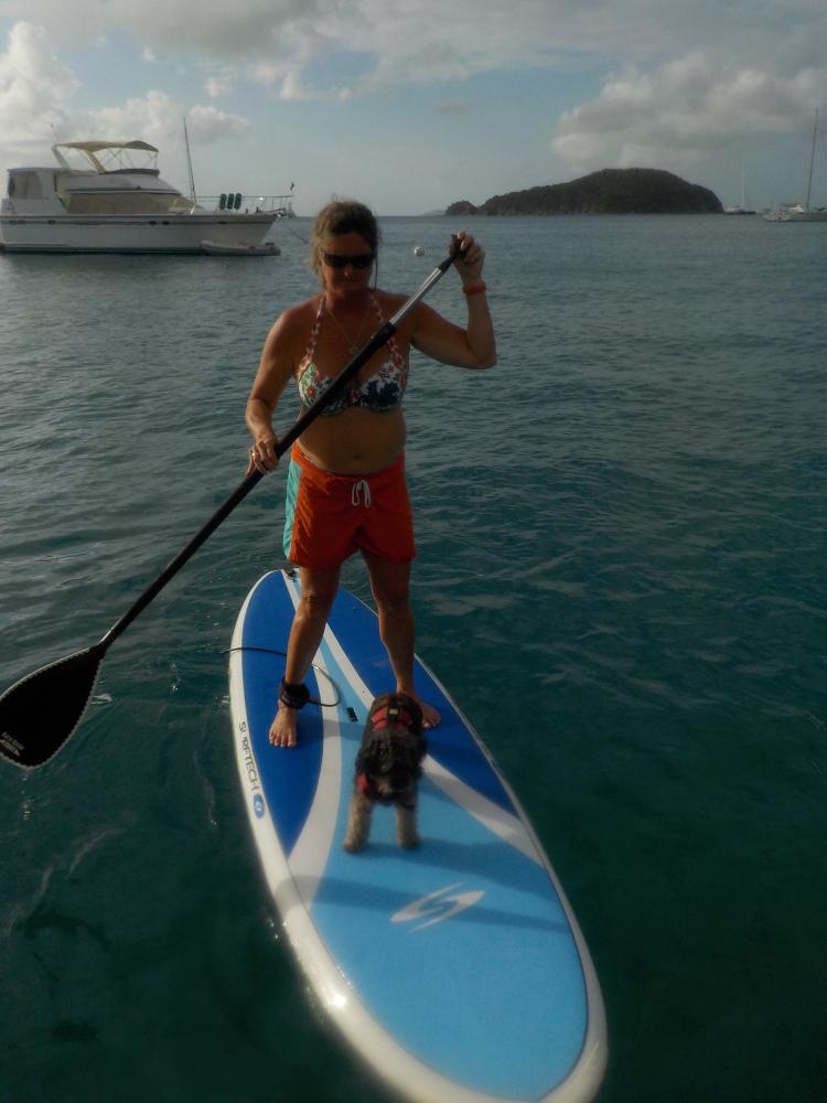 Stand up Paddle Board: Paddling with Dogs