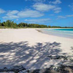 Pink sand beach on the ocean side of Eleuthera