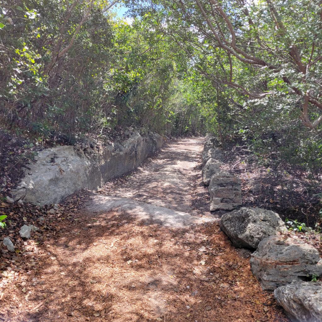 Old road in the preserve: The preserve land has been used by many over time- here is an old road