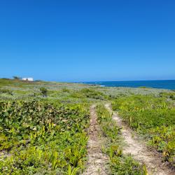 path to the lighthouse
