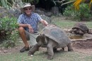  Seychelles tortoise