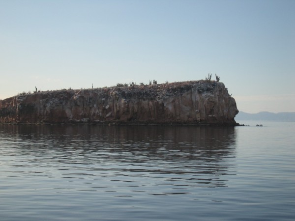 Isla Gallina (Hen)