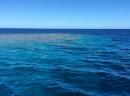 Tuamotus. Amanu : Coral patches to be avoided by sailboat but great to snorkel at.