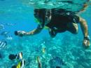Snorkeling Bora Bora