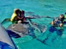 Fiona & Lisa & Don swim with the sting rays