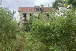 Old plantation house ruin