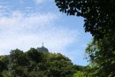 The Redeemer, on Corcovado through the trees