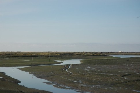 Channel to boatyard at low tide.
