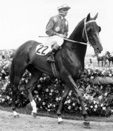 Tobin Bronze going out in the 1967 Melbourne Cup.