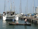 local fishermen spend much of the day casting their nets around the marina and anchorage. They seem to catch plenty of fish.