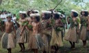 the girls perform the mango dance waving mango tree branches