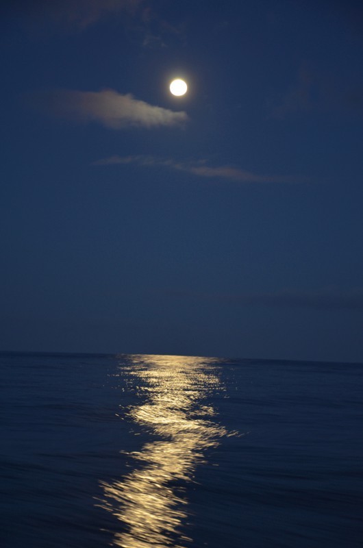 A beautiful moonlight night