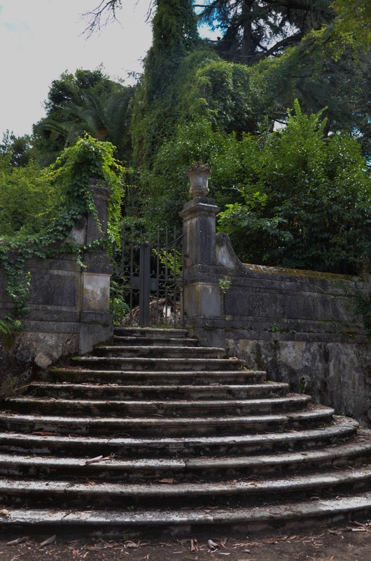 Stone steps - you can imagine how beautiful this was in its day