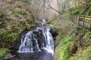 Glenariff Forest: Great walk through the forest to the water falls