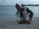 This boat comes all the way from Columbia to buy coconuts for .36 cents a piece.  Here they are sorting the coconuts and will take only those they feel are big enough