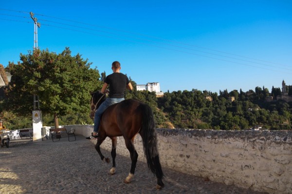 While walking through the Sacromonte a guy came galloping down the cobblestones on this very pretty horse but it was a bit scary as the horse was slipping and sliding!!!