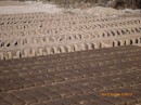 Rows and rows of bricks drying in the sun before they are fired.