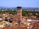 A sprouting tower in Lucca