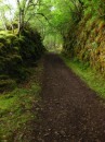 Hiking path along Loch Oich