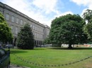 Another view of the Maple tree at Trinity College