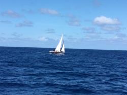 Karen on Namaka ripping at 7 knots