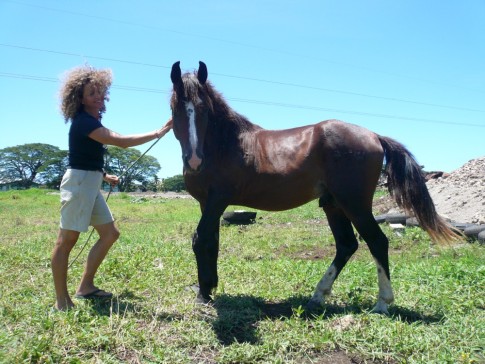 having a horse also makes living in Fiji a brighter place...