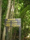 San Juan Forest