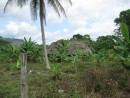 Mayan hut along the farm road