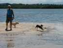 Pups enjoying a romp on the beach