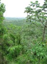 Looking over the island into the jungle